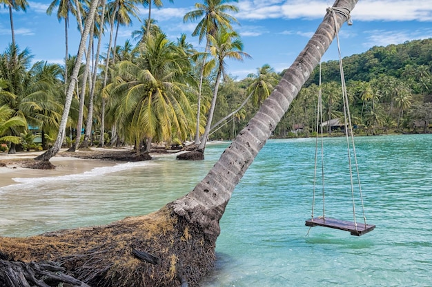 Piękna Plaża Z Palmami Khlong Hin Bay Koh Kood Tajlandia