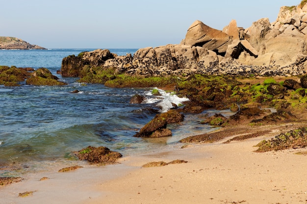 Piękna plaża