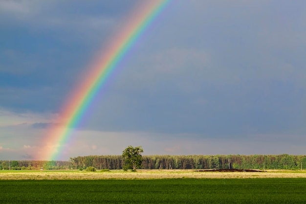 Piękna podwójna tęcza na zachmurzonym niebie