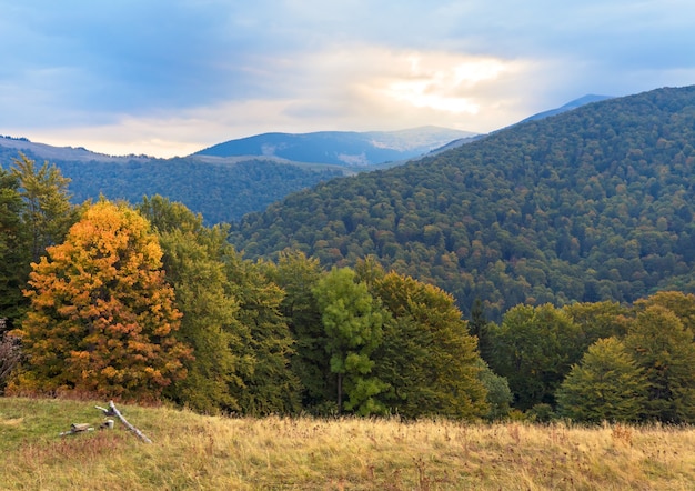 Piękna poranna jesień góra (Karpaty, Ukraina)