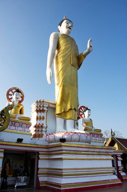 Piękna postawa Leela lub posąg buddy z wizerunkiem pang lila świątyni Wat Phra That Doi Kham dla Tajów i zagranicznych podróżników z szacunkiem modląc się w mieście Mae Hia w Chiang Mai Tajlandia
