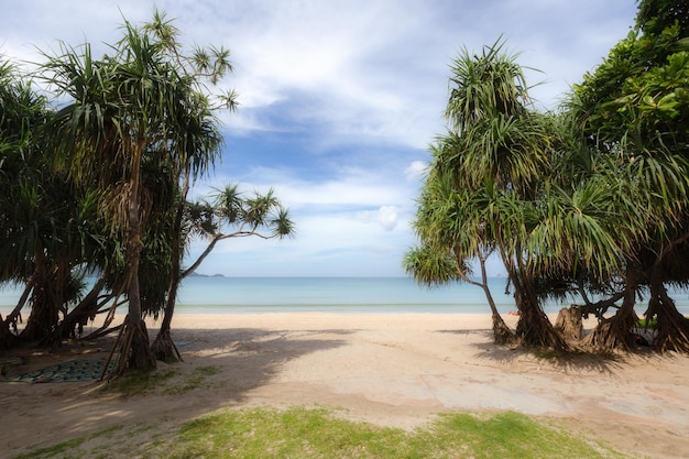 Piękna przyroda Morza Andamańskiego i biała piaszczysta plaża w Patong Beach Phuket Island Tajlandia