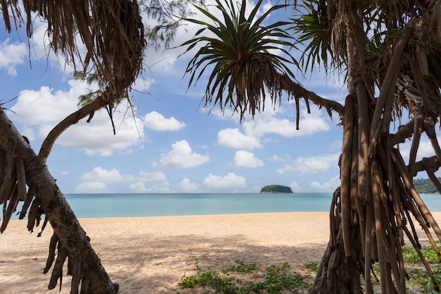 Piękna Przyroda Morza Andamańskiego I Piaszczystej Plaży W Godzinach Porannych W Patong Beach, Phuket Island, Tajlandia. Koncepcja Przyrody I Podróży