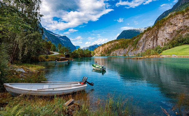 Piękna przyroda Norwegia naturalny krajobraz.