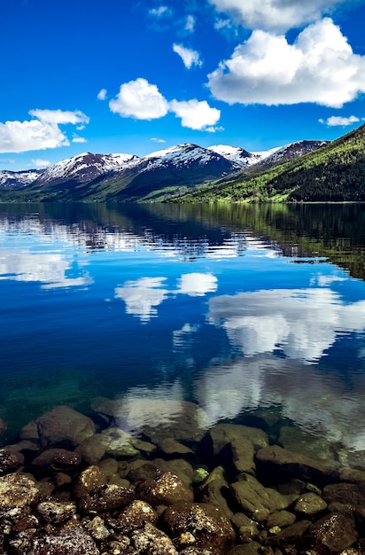 Piękna Przyroda Norwegia Naturalny Krajobraz.