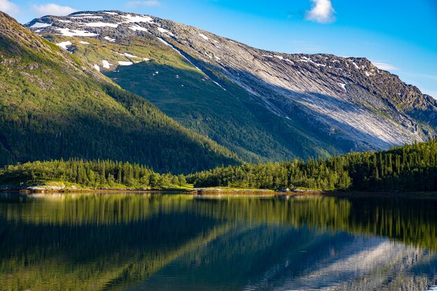 Piękna przyroda Norwegia naturalny krajobraz.