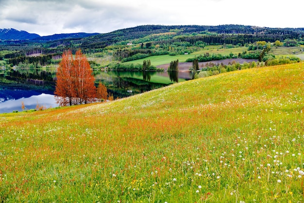 Piękna przyroda Norwegia naturalny krajobraz.