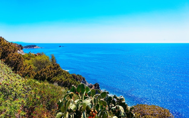 Piękna Przyroda Villasimius I Błękitne Wody Morza śródziemnego Na Wyspie Sardynia We Włoszech Latem. Prowincja Cagliari. Krajobraz I Dekoracje