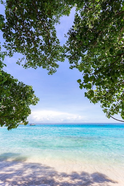 Piękna przyroda wysp na Morzu Andamańskim na wyspach Similan, Park Narodowy Mu Ko Similan, Phang-nga, Tajlandia