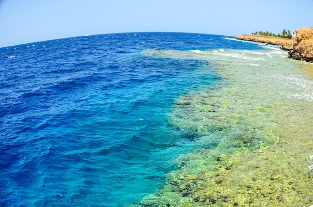 Piękna rafa koralowa w morzu pod wodą Egipt Sharm El Sheikh