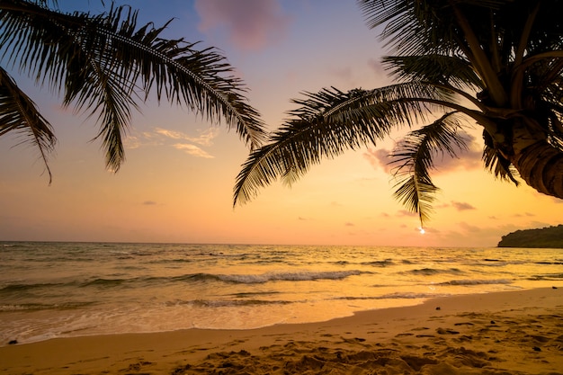 Piękna rajska wyspa z plażą i morzem