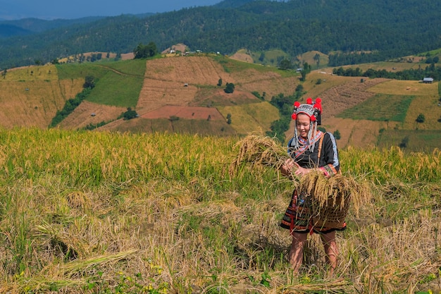 piękna rolnik ze słomy na polach ryżowych w północnej Tajlandii