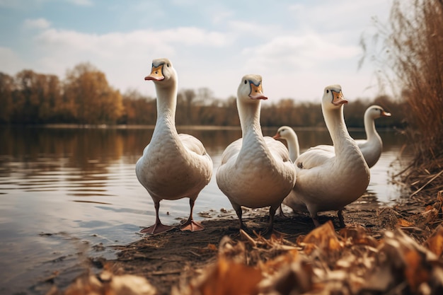 Piękna scena goosepunkowa Majestatyczna gęś w naturze