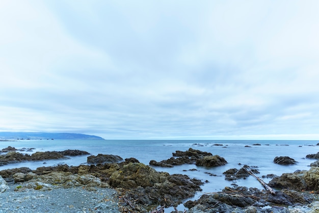 Piękna sceneria rezerwatu morskiego Taputeranga znajduje się na południowym wybrzeżu Wellington, obejmującym Island Bay, Owhiro Bay i Houghton Bay, Wellington, North Island of New Zealand