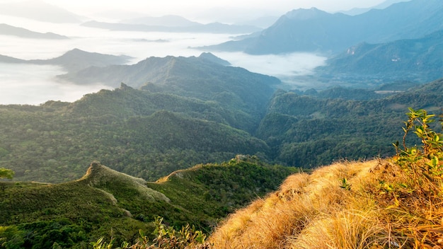 Piękna sceneria wschodu słońca nad Phu Chi Dao z morzem mgły w Chiang Rai Tajlandia