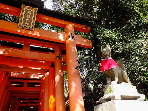 Zdjęcie piękna świątynia kioto fushimi inari