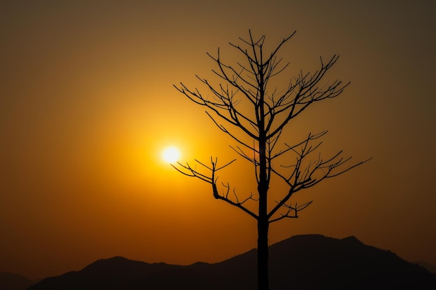 Piękna sylwetka zachodu słońca na wzgórzach z drzewami w Khotang, Nepal