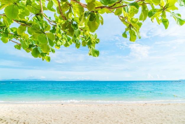 Piękna tropikalna plaża i morze krajobraz