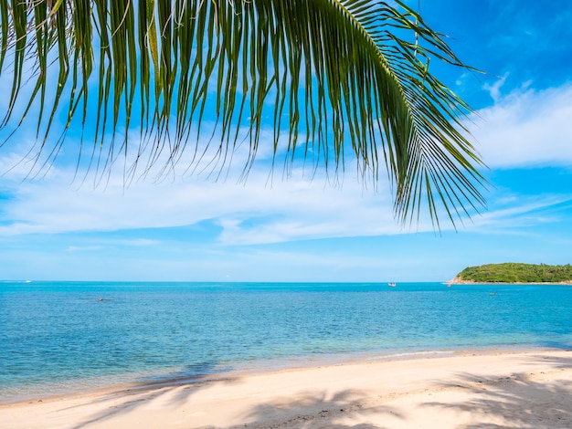 Piękna Tropikalna Plaża I Morze Z Kokosowym Drzewkiem Palmowym