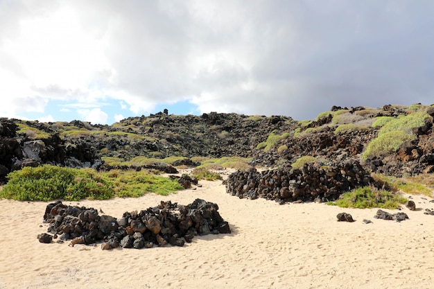 Piękna tropikalna plaża na Lanzarote