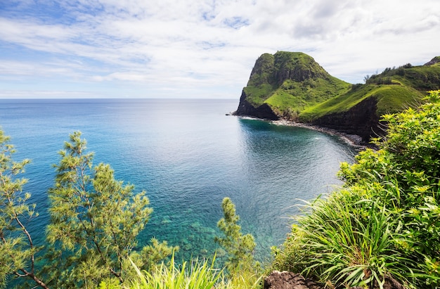 Piękna tropikalna plaża na wyspie Maui na Hawajach