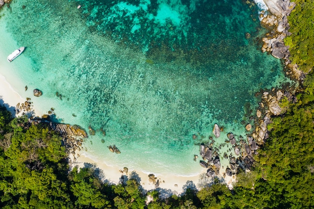 Piękna tropikalna plaża ze skalistym wybrzeżem i pięknym lasem