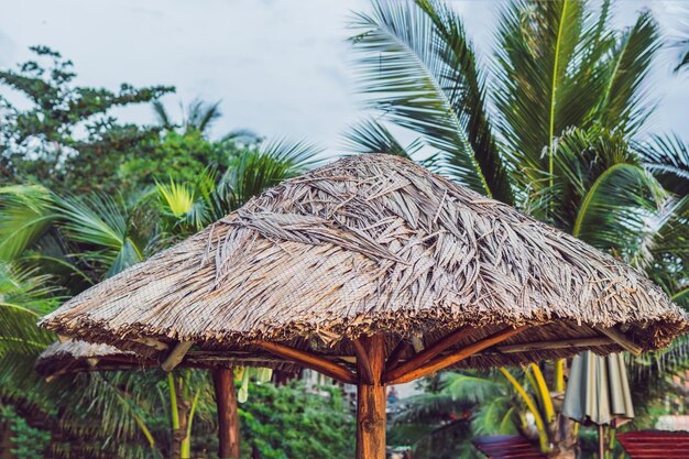 Piękna tropikalna plaża ze słomianym parasolem i palmą. Słomkowy parasol i palma na plaży?