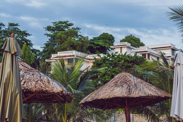 Piękna tropikalna plaża ze słomianym parasolem i palmą. Słomkowy parasol i palma na plaży?