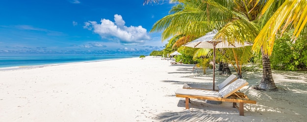 Piękna tropikalna sceneria zachodu słońca, dwa leżaki, leżaki, parasol pod palmą. Biały piasek, morze