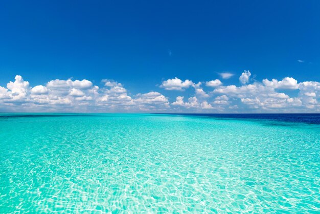 Piękna tropikalna wyspa Malediwy z plażą