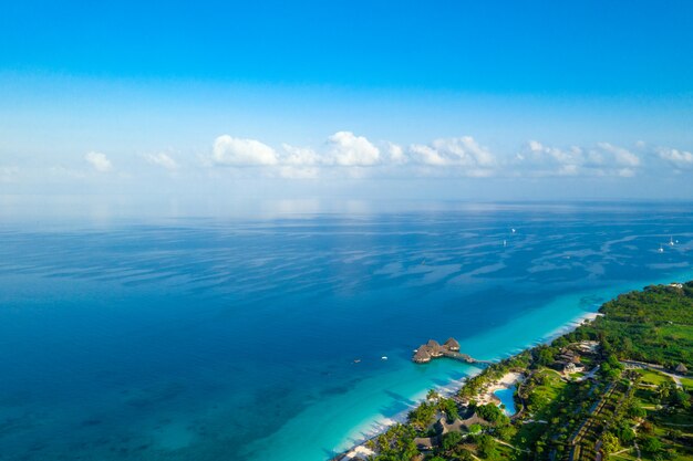 piękna tropikalna wyspa Zanzibar ptaka.