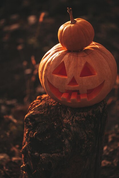 Piękna uśmiechnięta poświata pomarańczowa śmieszna twarz rzeźbiona dynie na Halloween wakacje w dzień na świeżym powietrzu