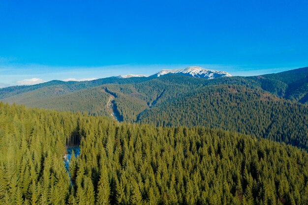 Piękna wiosna w górach. Lokalizacja Karpaty, Ukraina, Europa. Świat piękna