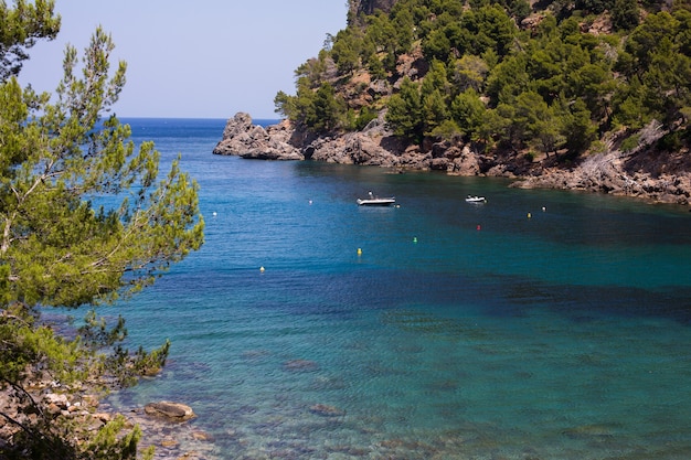 piękna zatoka i plaża na Majorce Hiszpania