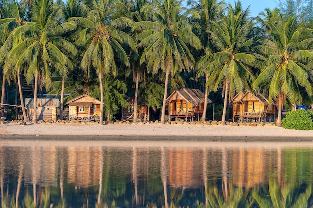 Piękna zatoka z palmami kokosowymi i drewnianymi bungalowami, które odbijają się w wodzie morskiej Tropikalna plaża z zielonymi liśćmi palmowymi i wodą morską na wyspie Koh Phangan Tajlandia