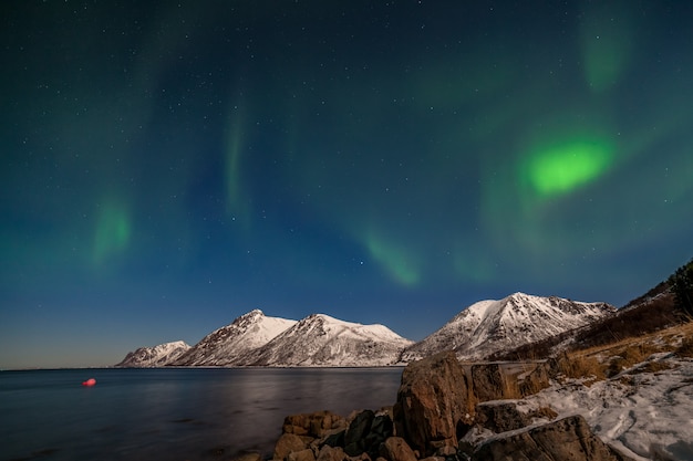 Piękna zorza polarna, światła polarne, nad górami na północy Europy - Lofoty, Norwegia