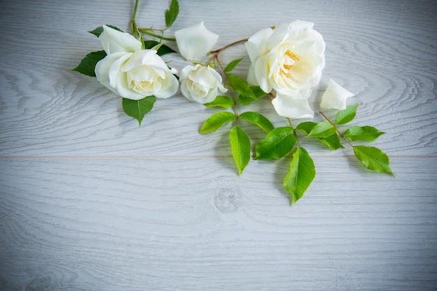 Piękne białe letnie róże na drewnianym stole