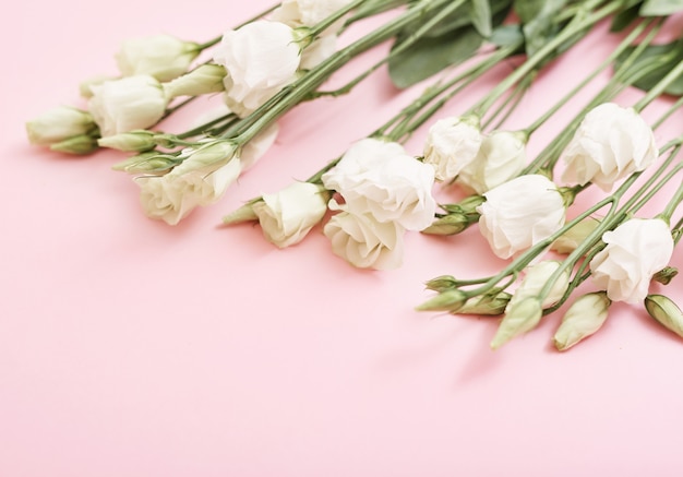 Piękne białe róże na różowym stole