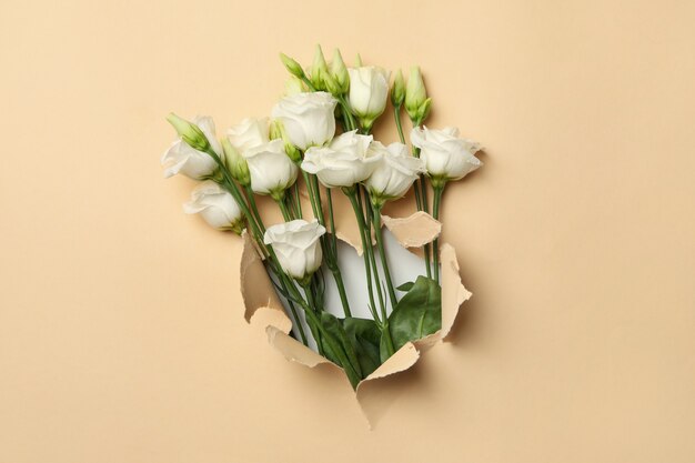 Piękne białe róże przez beżową papierową dziurkę