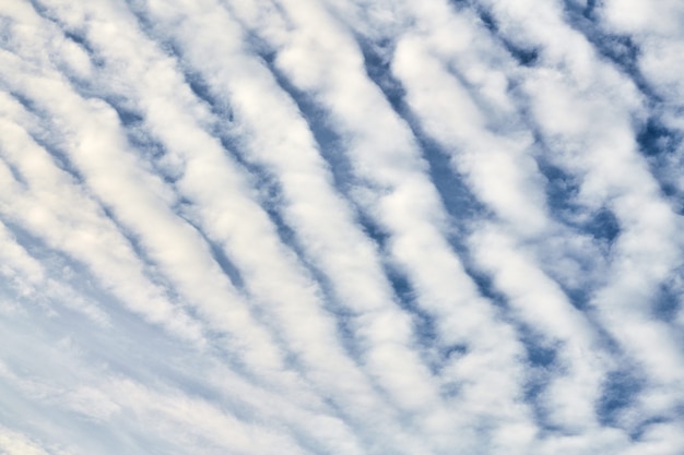 Piękne błękitne niebo z niezwykłymi białymi chmurami Altocumulus undulatus, niezwykła formacja chmur. Białe chmury cirrocumulus, pochmurne niebo altocumulus, tekstura chmur stratocumulus, tło błękitnego nieba