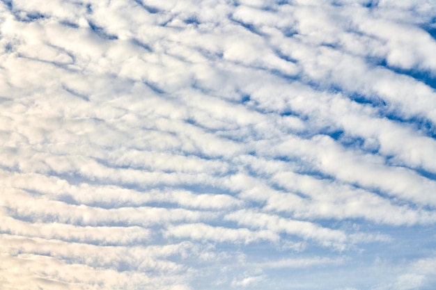 Piękne Błękitne Niebo Z Niezwykłymi Białymi Chmurami Altocumulus Undulatus, Niezwykła Formacja Chmur. Białe Chmury Cirrocumulus, Zachmurzone Niebo Altocumulus, Tekstura Chmur Stratocumulus, Tło Błękitnego Nieba