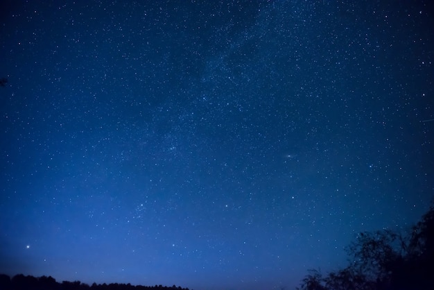 Piękne błękitne nocne niebo z wieloma gwiazdami nad lasem. Tło przestrzeni mlecznej