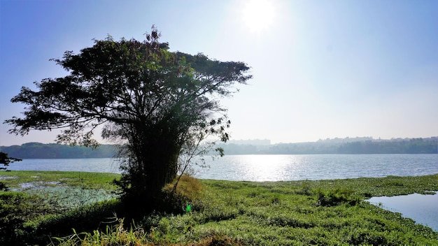 Piękne BTM lub jezioro Madiwala w Bangalore rano z czystym niebem Najlepsze miejsce na relaks dla Bengalurczyków