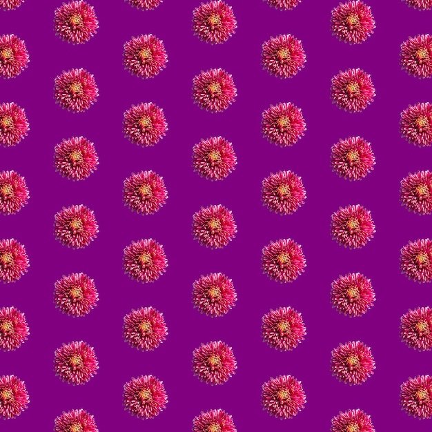 Zdjęcie piękne chryzantemy w geometryczny wzór siatki na fioletowym tle