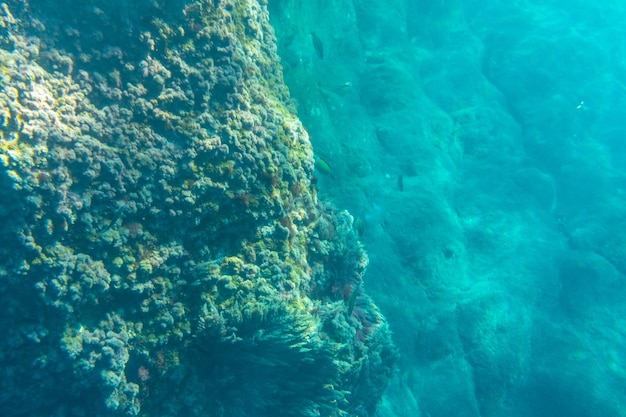 Piękne dno morskie na plaży Charco Verde na wyspie La Palma w lecie