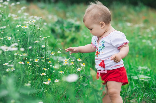piękne dziecko w haftowanej koszuli zbierając kwiaty na polu