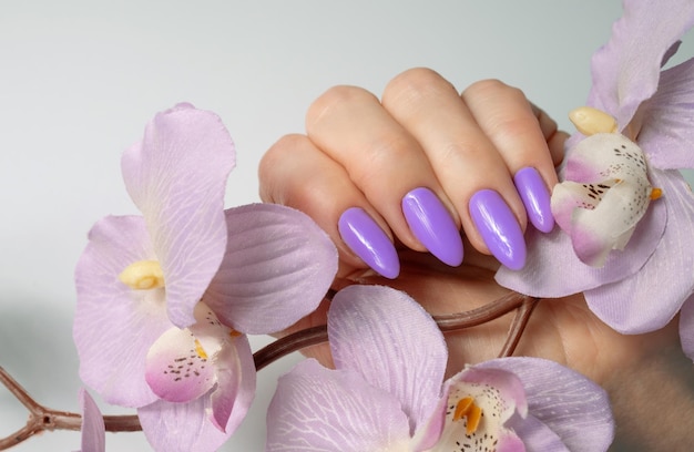 Piękne, Eleganckie Ręce Z Francuskim Manicurem.