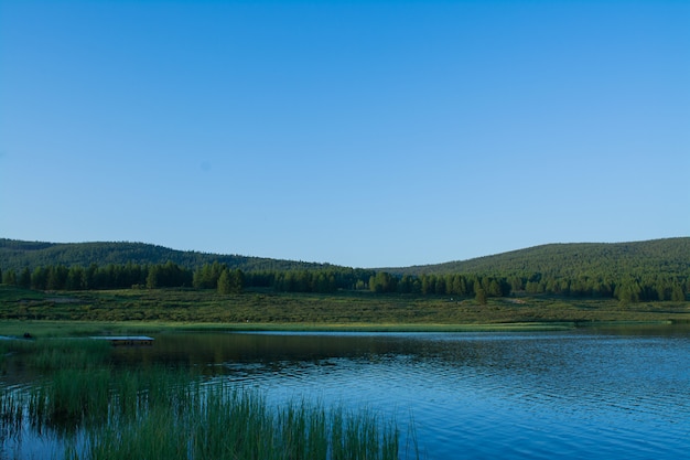 Piękne Górskie Jezioro Z Trzcinami Otoczone Pasmami Górskimi I Nieprzeniknionymi Lasami.