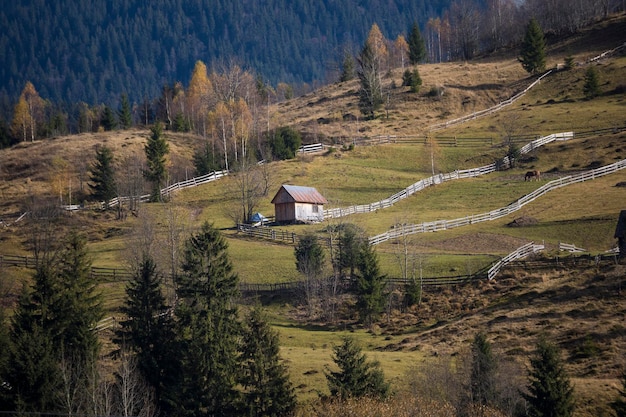Piękne góry ukraiński krajobraz. Pastwisko i stary drewniany dom na tle gór. Karpaty, Ukraina