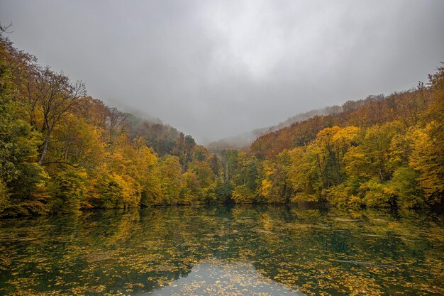 Piękne Jesienne Odbicie. Rano Mglisty Widok Na Jezioro Z Kolorowym Drzewem Leśnym. Sielankowa Jesienna Natura